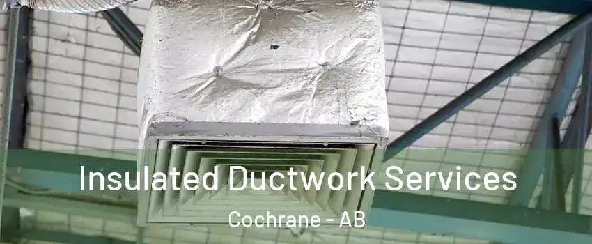  Insulated Ductwork Services Cochrane - AB