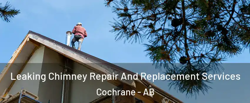  Leaking Chimney Repair And Replacement Services Cochrane - AB