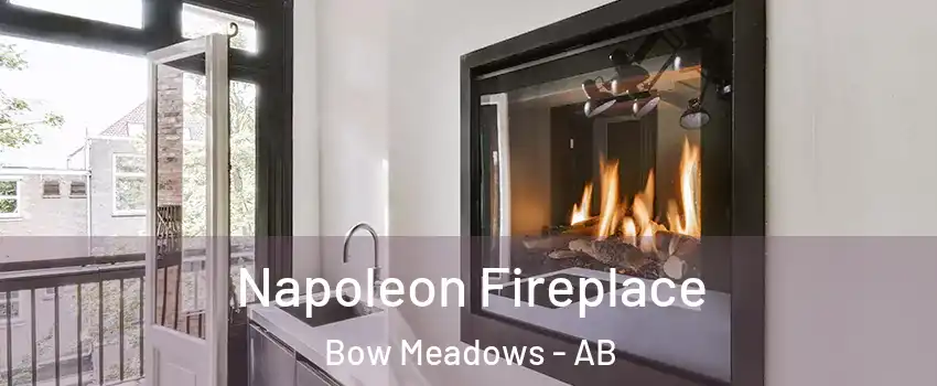  Napoleon Fireplace Bow Meadows - AB