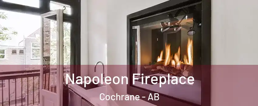  Napoleon Fireplace Cochrane - AB