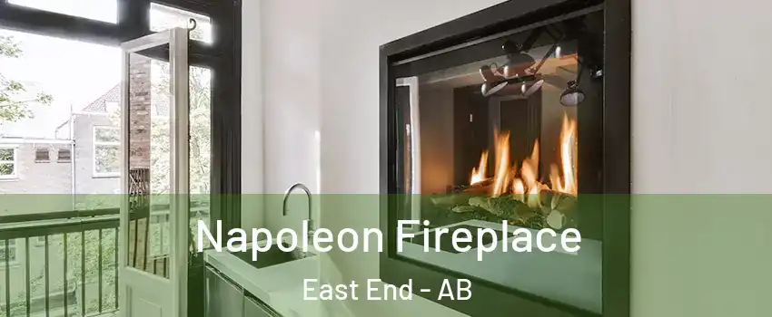 Napoleon Fireplace East End - AB