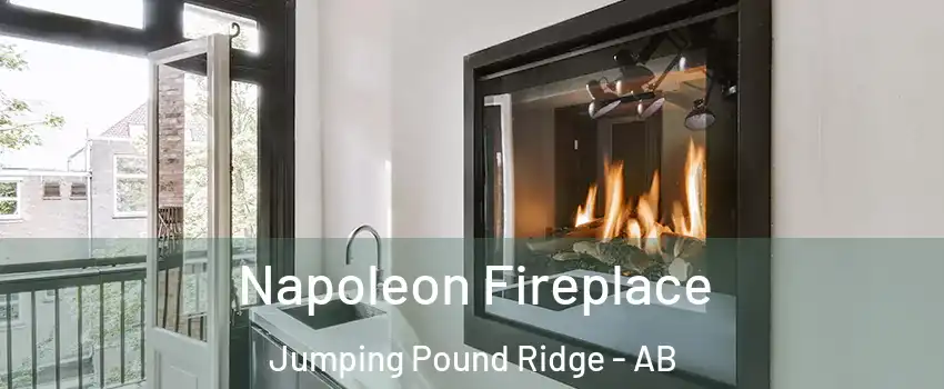  Napoleon Fireplace Jumping Pound Ridge - AB