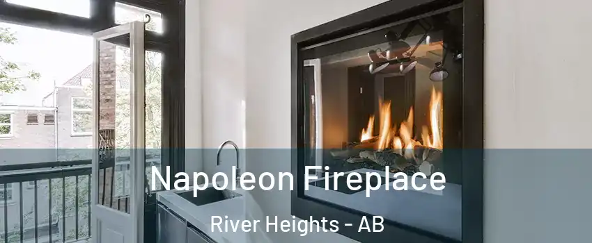  Napoleon Fireplace River Heights - AB