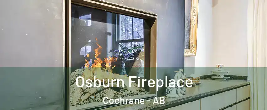  Osburn Fireplace Cochrane - AB